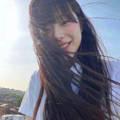 良陈美锦